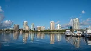 Top or Best Mural Design Agencies and Companies in St. Petersburg, Florida