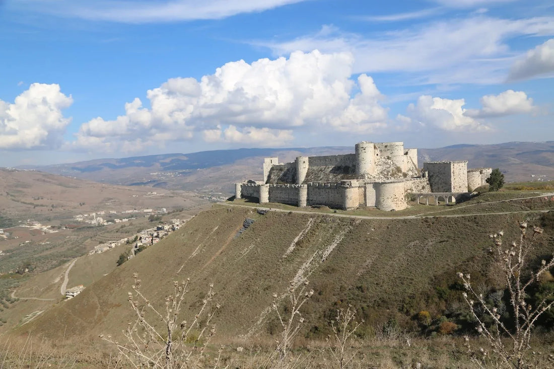 Top Drawing and Illustration Agencies in Syria