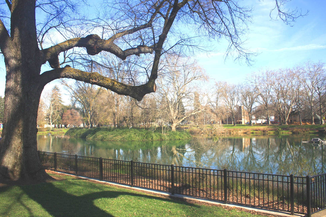 Top or Best Business Card Design Agencies and Companies in Malden, Massachusetts