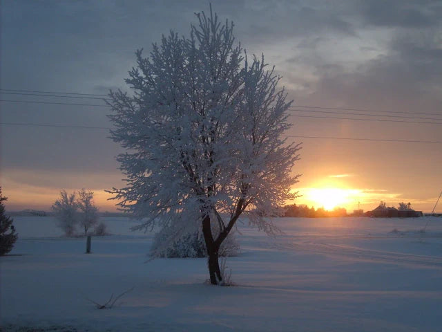 Top or Best Virtual Background Design Agencies and Companies in York, Nebraska