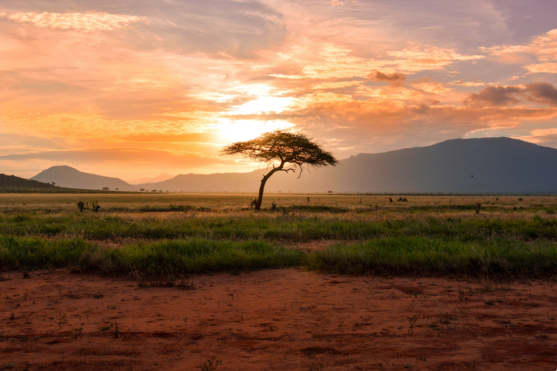 Top Web & Mobile Design Agencies in South Africa