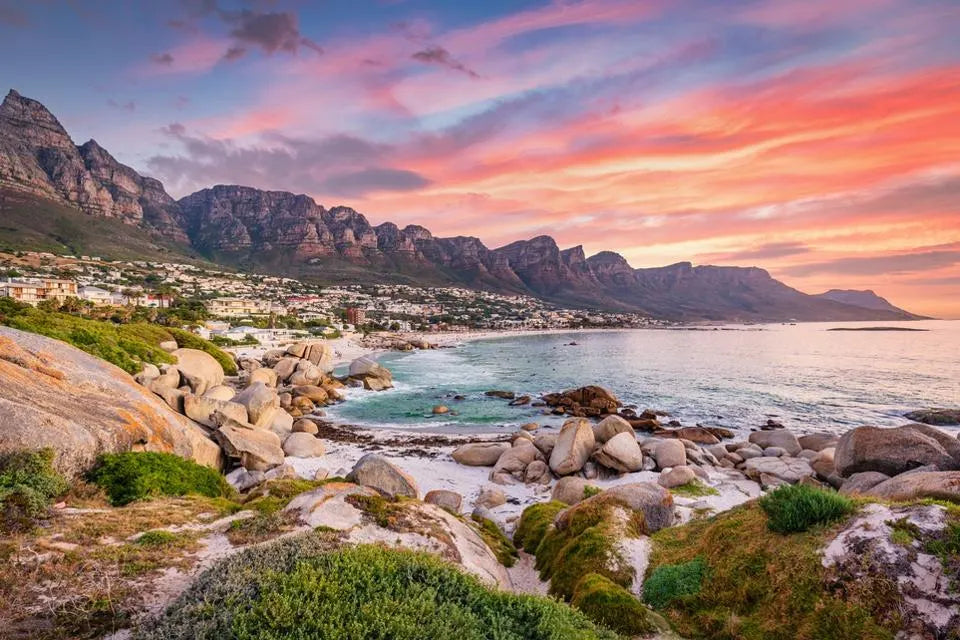 Top Mural Design Agencies in South Africa