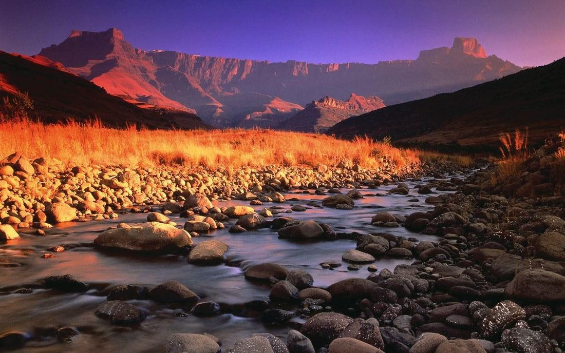 Top AR Filters & Lens Design Agencies in South Africa