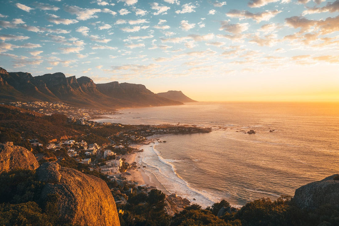 Top Poster Design Agencies in South Africa