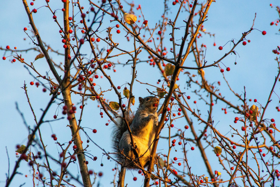 Top and Best YouTube Management Agencies and Companies in Richmond, Virginia