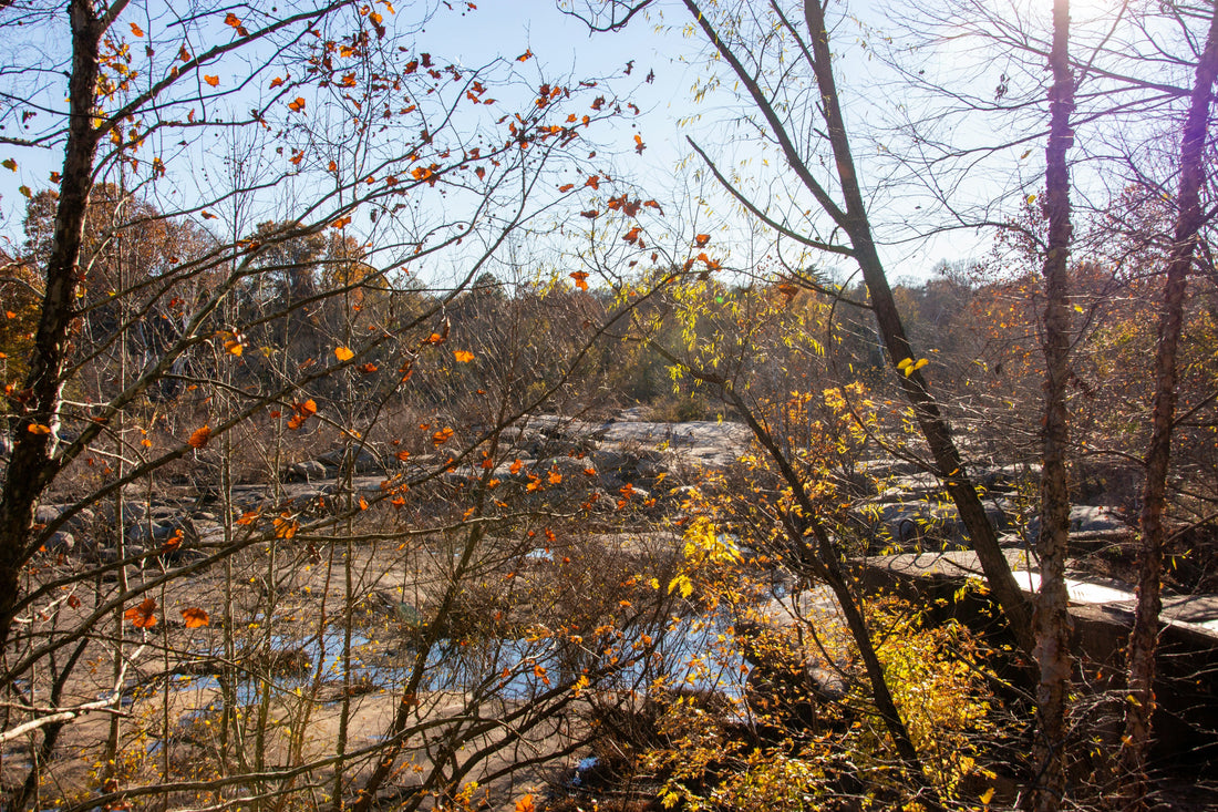 Top and Best Graphic Design Agencies and Companies in Richmond, Virginia