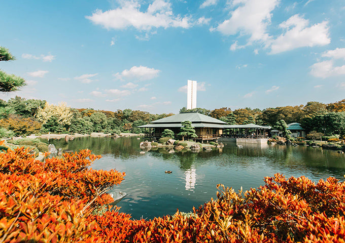 Top or Best Custom Graphics for Videos Agencies and Companies in Sakai, Japan