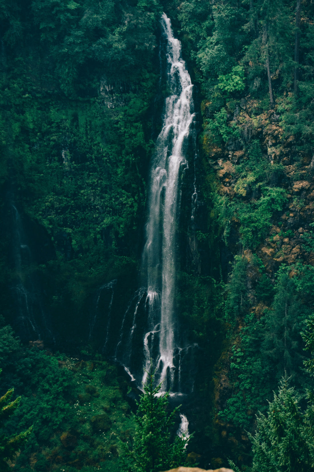 Top or Best Portraits and Caricatures Agencies and Companies in Springfield, Oregon