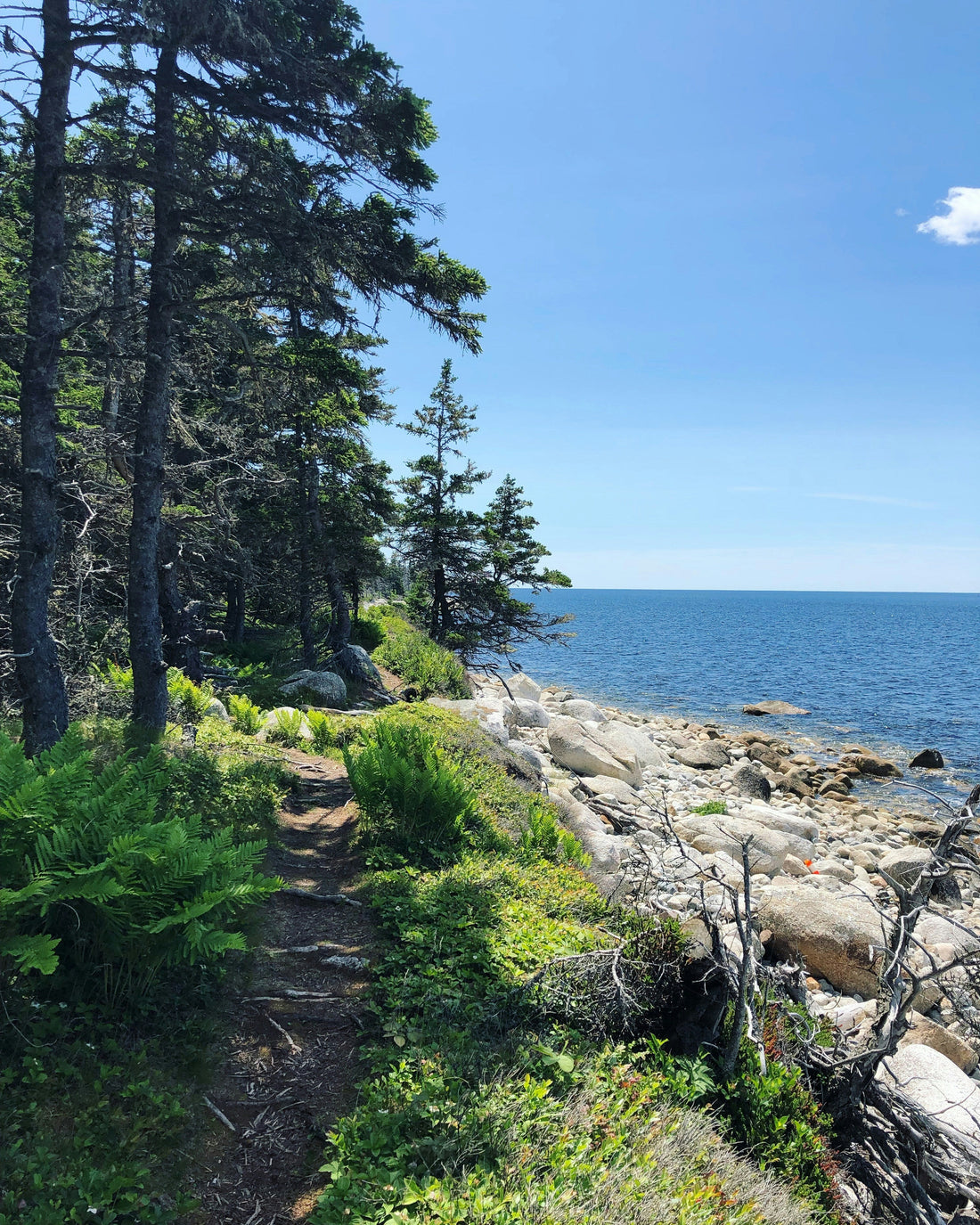 Top or Best Social Media Design Agencies and Companies in Gorham, Maine