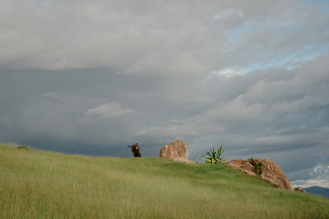 Top and Best Storyboard Agencies and Companies in Box Elder, South Dakota