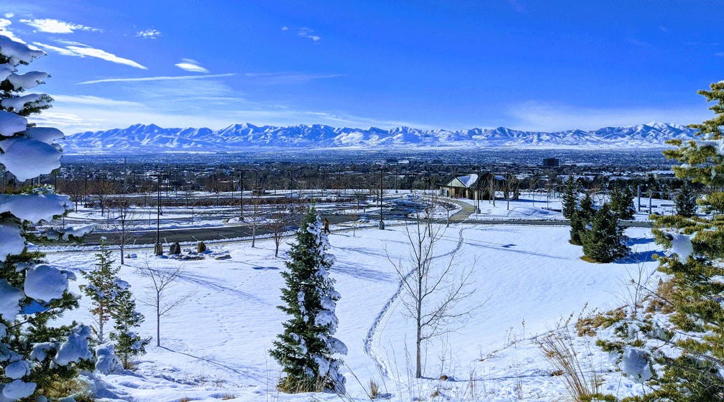 Top or Best AR Filter & Lens Agencies and Companies in Sandy, Utah