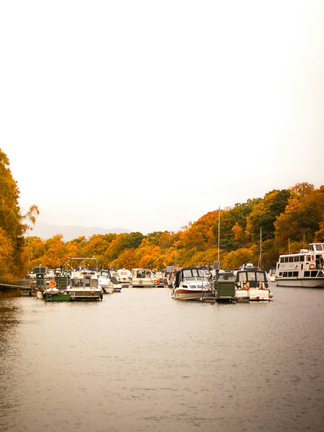 Top or Best Animation and Motion Graphics Agencies and Companies in Potomac, Maryland