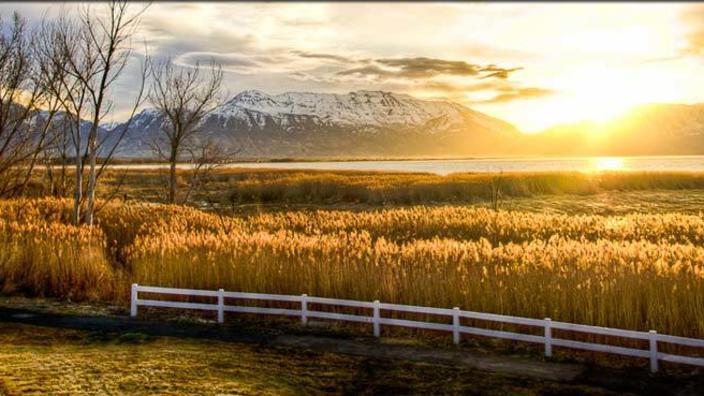 Top or Best Invitation Design Agencies and Companies in Saratoga Springs, Utah
