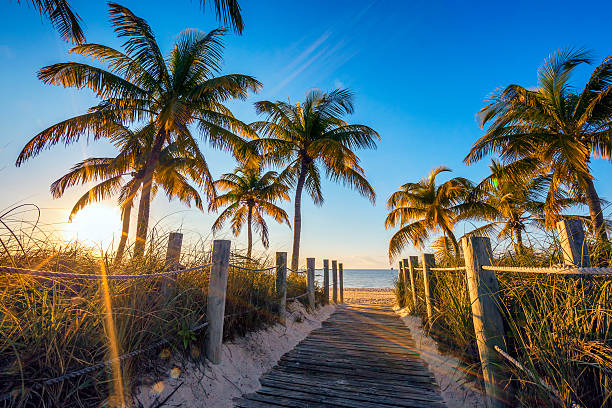 Top or Best Storyboard Agencies and Companies in Sunrise, Florida