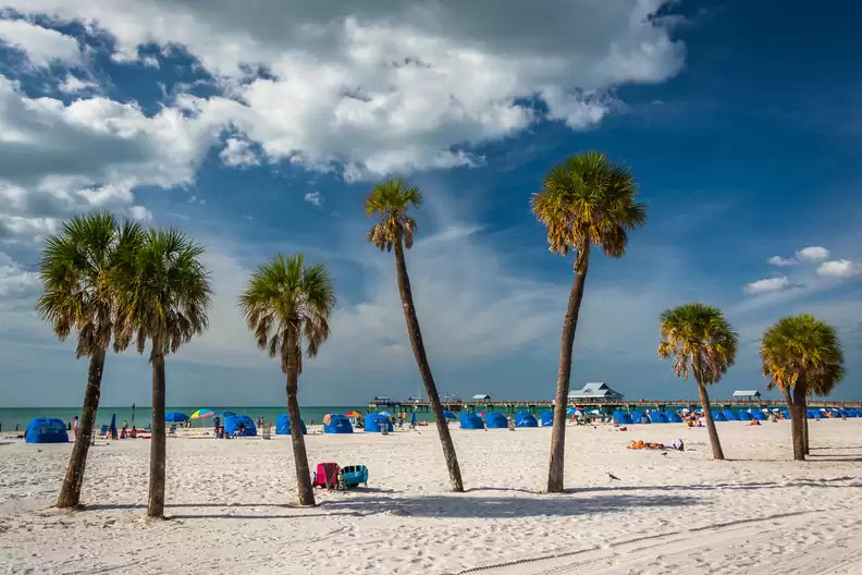 Top or Best Athlete Management Agencies and Companies in Tampa, Florida