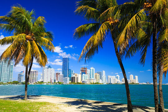 Top or Best Stationery Design Agencies and Companies in Miami Beach, Florida