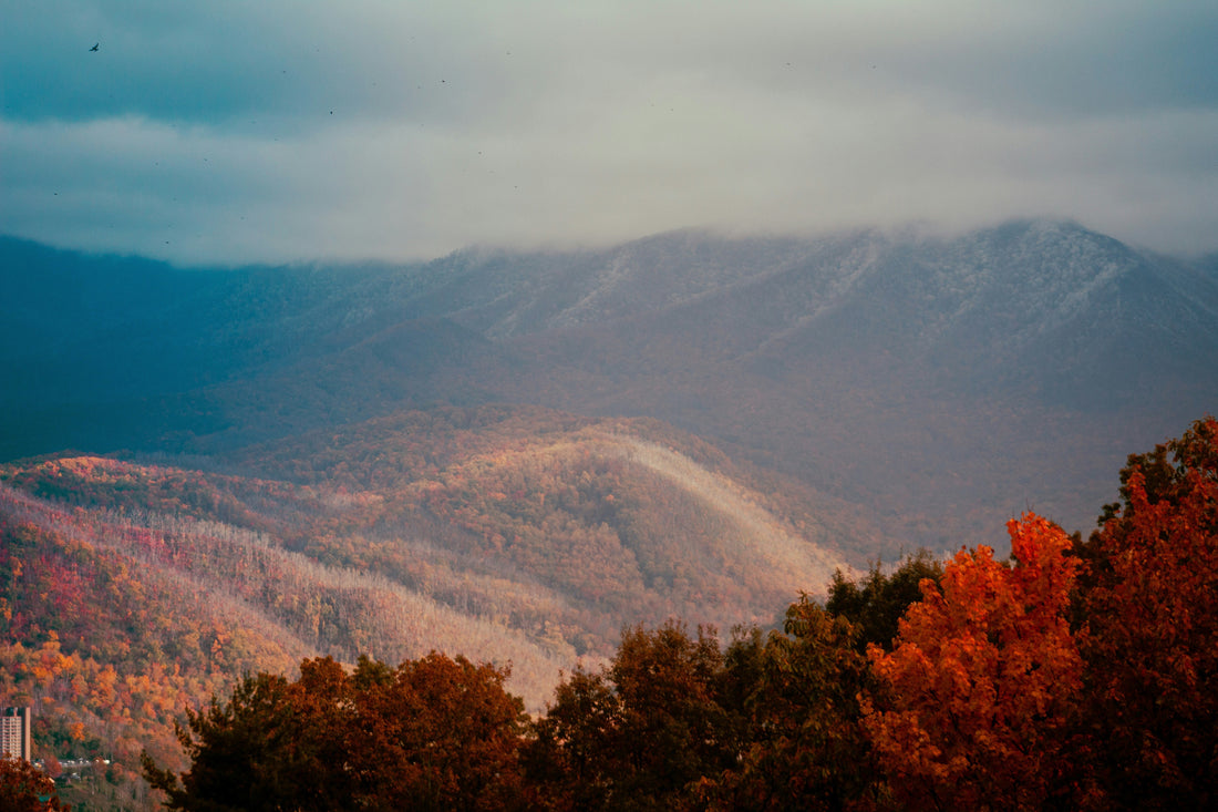 Top and Best Virtual Background Design Agencies and Companies in Burlington, North Carolina