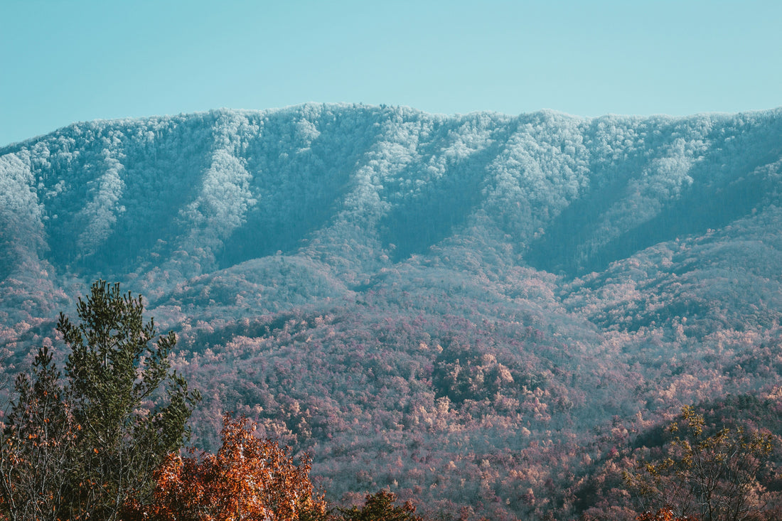 Top and Best Social Media Management Agencies and Companies in Burlington, North Carolina