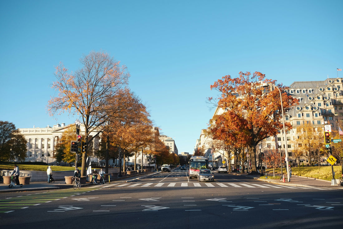 Top and Best Brand Identity Packages Agencies and Companies in Cherry Hill, New Jersey