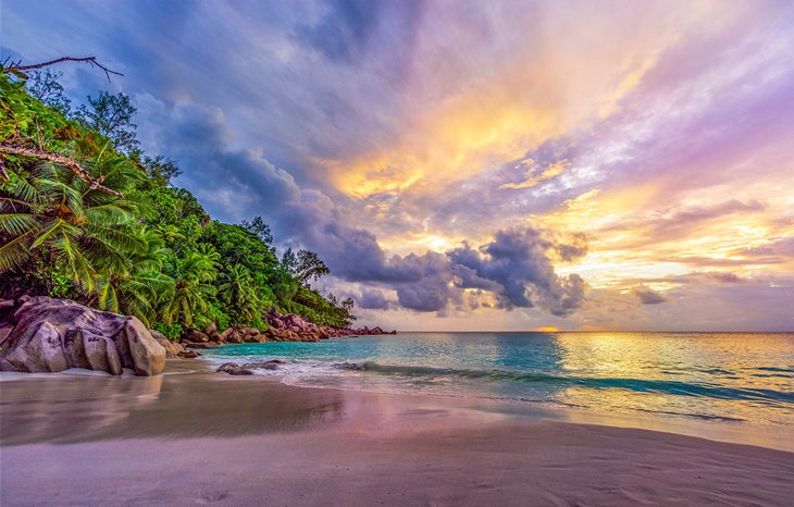 Best X (Twitter) Management Companies in Seychelles