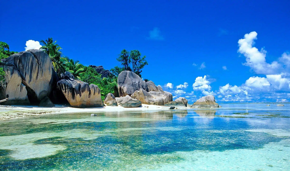 Top or Best Athlete Management Agencies and Companies in Seychelles