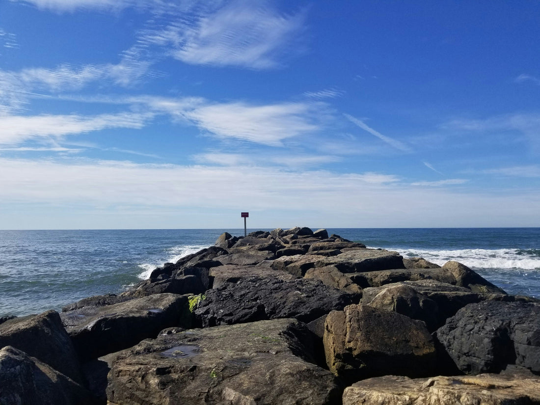 Top or Best TikTok Management Agencies and Companies in Camden, New Jersey