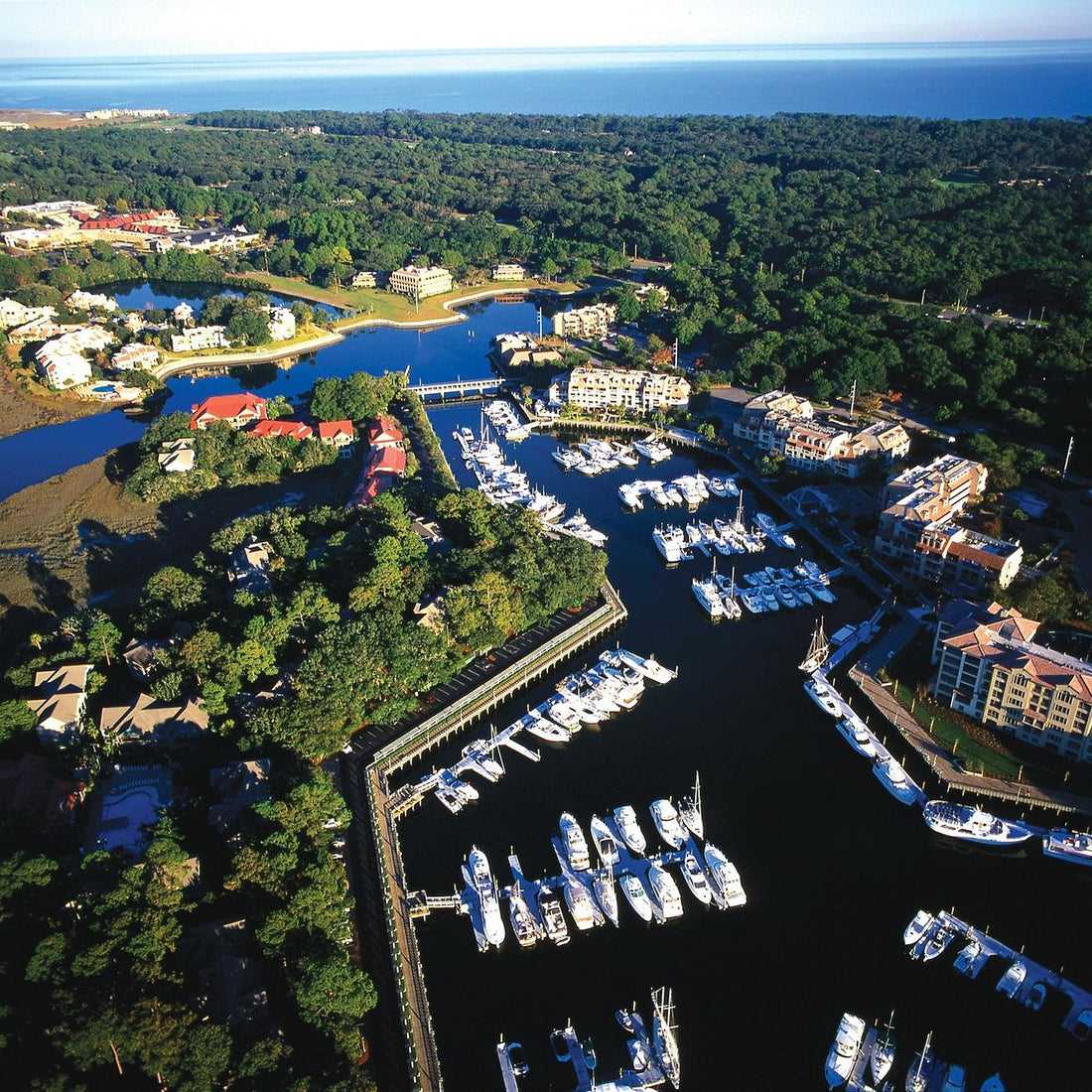 Top or Best Storyboards Agencies and Companies in Hilton Head Island, South Carolina