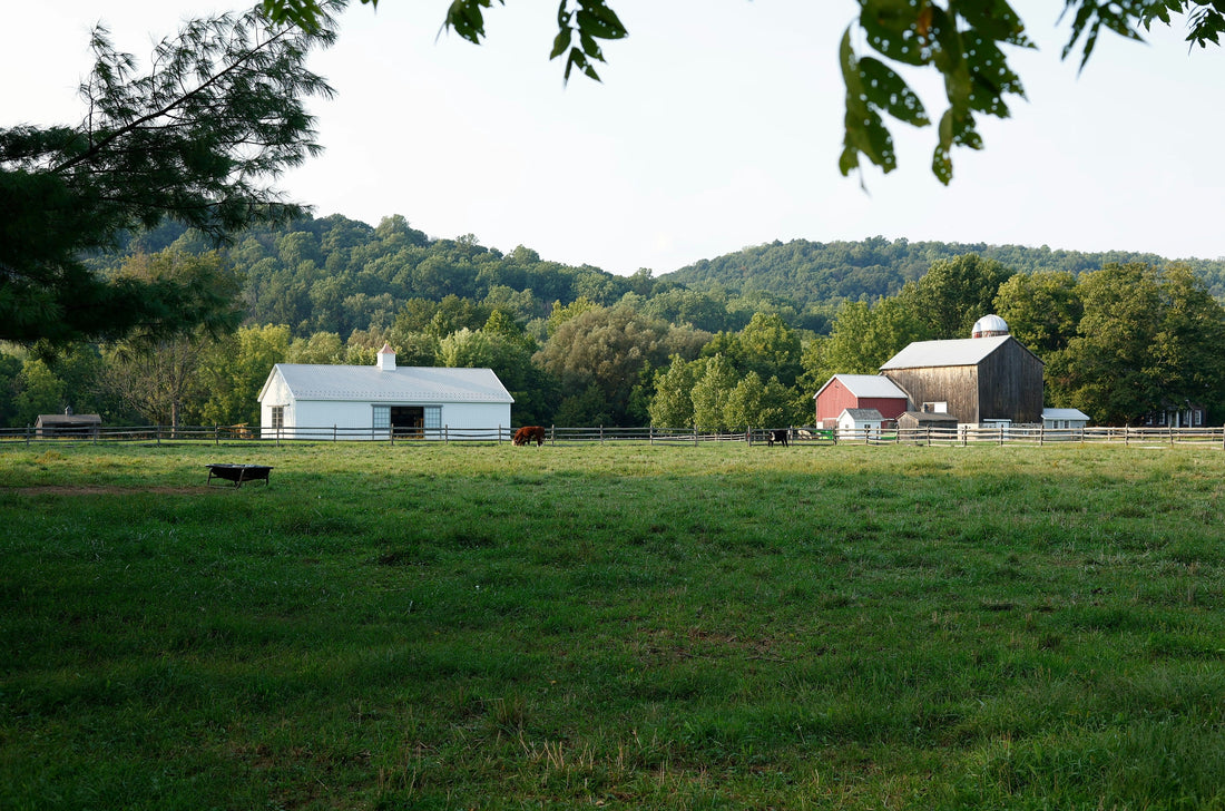 Top and Best Menu Design Agencies and Companies in Franklin Township, New Jersey