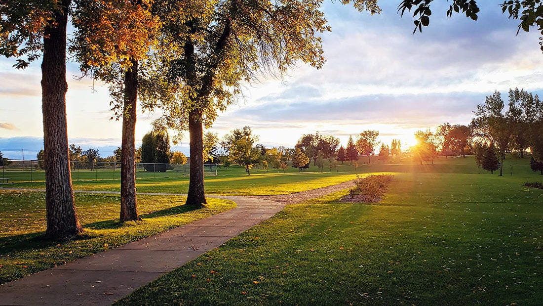 Top or Best Presentation Design Agencies and Companies in Sidney, Montana