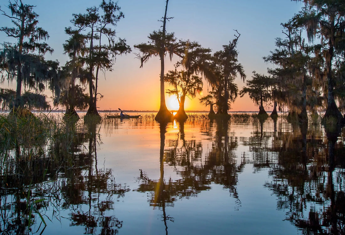 Top or Best NFT Art Agencies and Companies in Daytona Beach, Florida