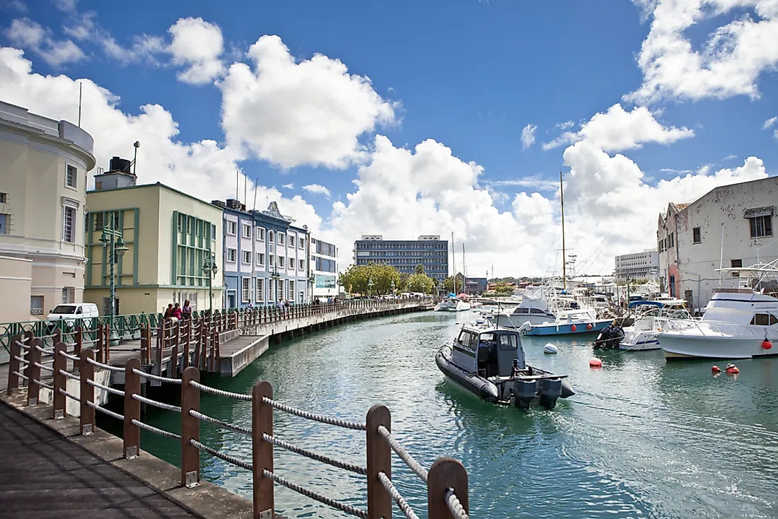 Top 5 Tattoo Design Agencies in Barbados