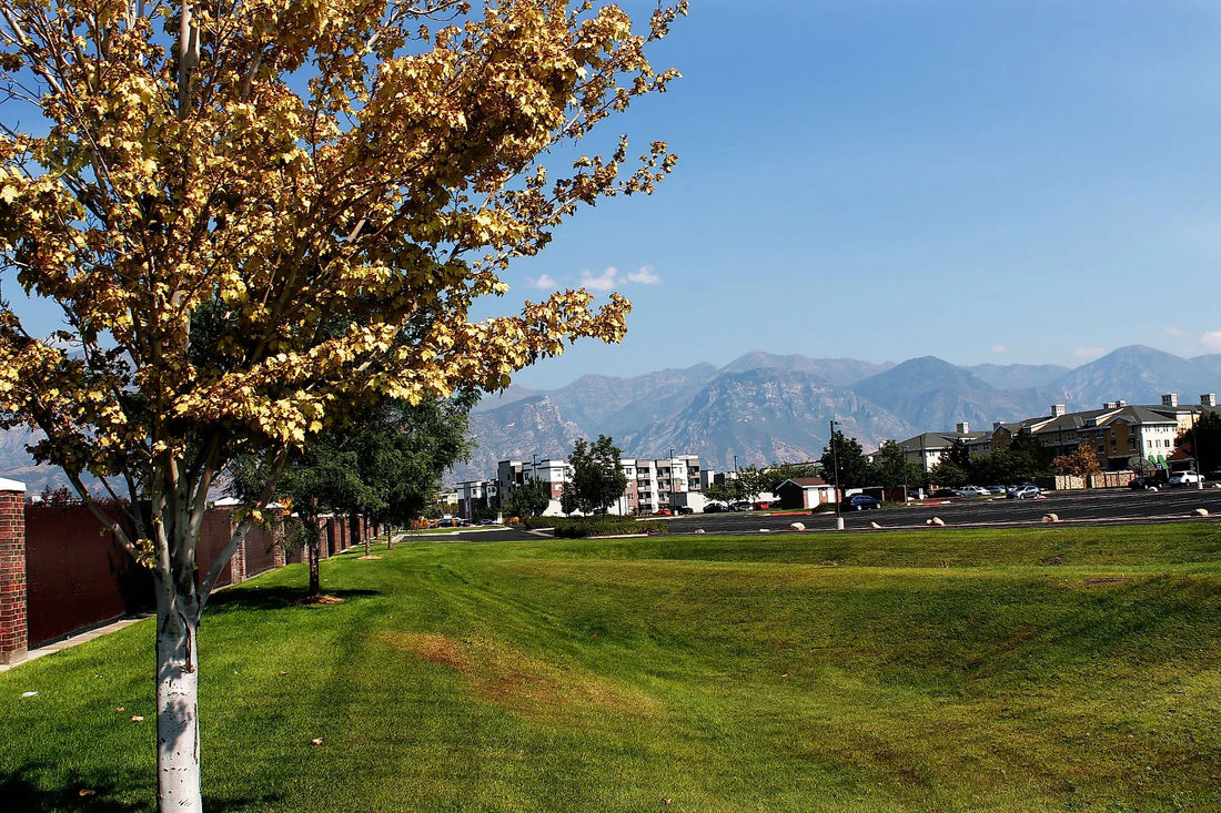 Top or Best Facebook Management Agencies and Companies in Orem, Utah
