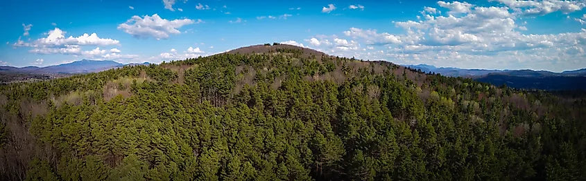 Top or Best Storyboards Agencies and Companies in Essex, Vermont