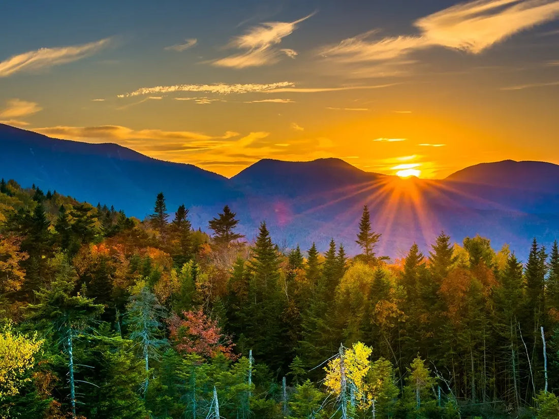 Top or Best Custom Graphics for Videos Agencies and Companies in Bedford, New Hampshire