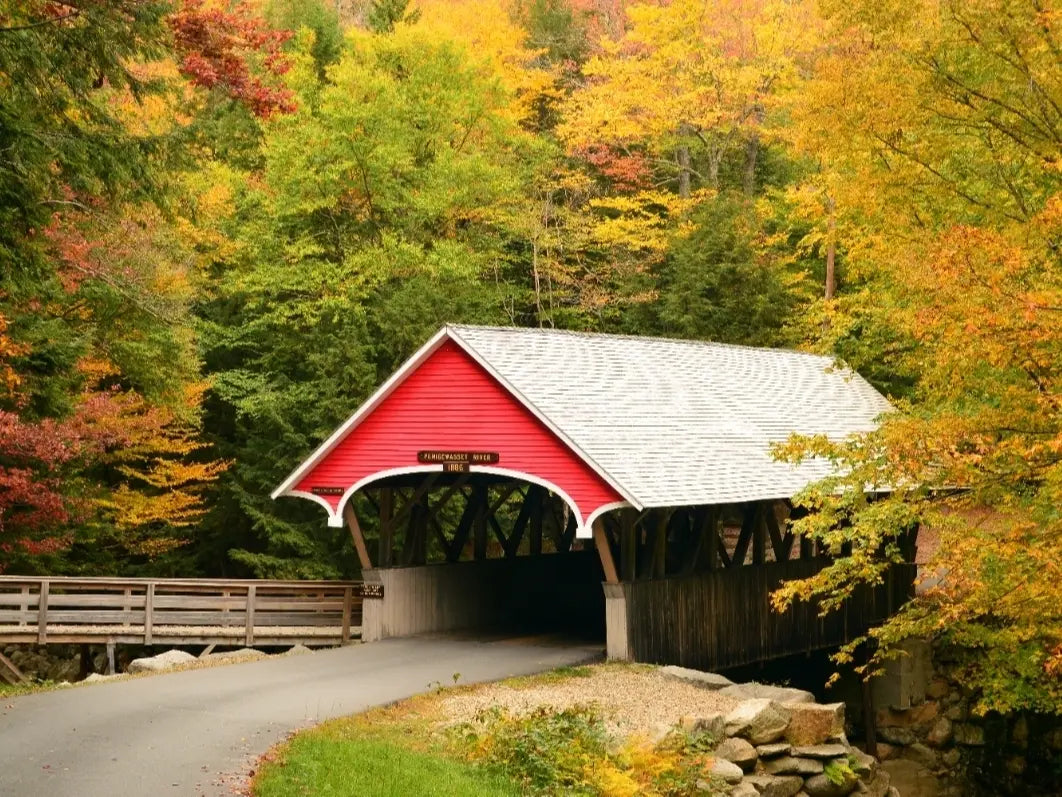 Top or Best LinkedIn Management Agencies and Companies in Bedford, New Hampshire