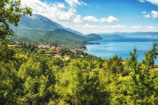 Top Website Design Agencies in North Macedonia