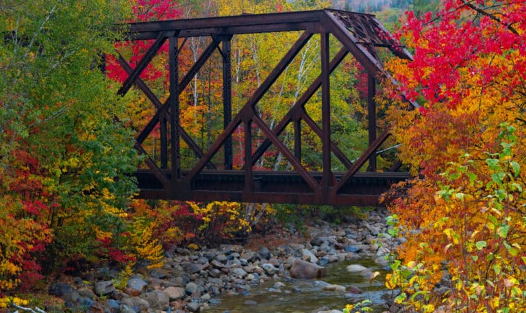 Top or Best AR Filters & Lenses Agencies and Companies in Brattleboro, Vermont