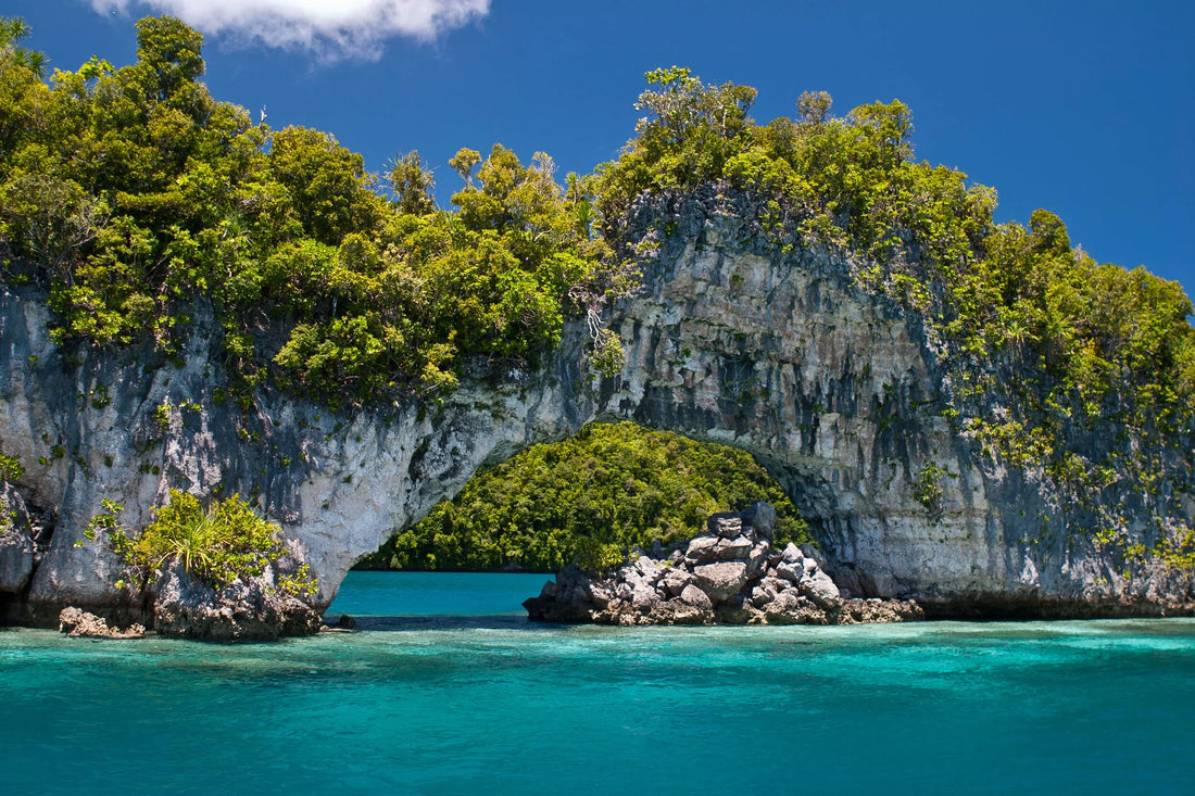 Top or Best Athlete Management Agencies and Companies in Palau