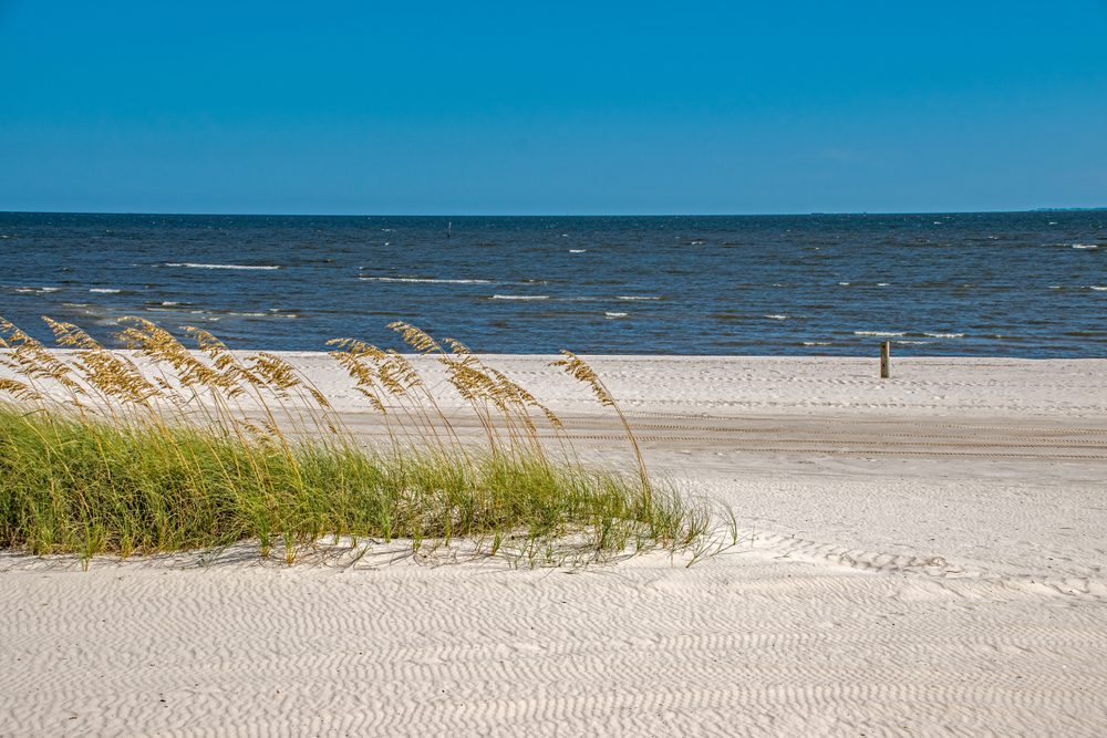 Top or Best TikTok Management Agencies and Companies in Biloxi, Mississippi