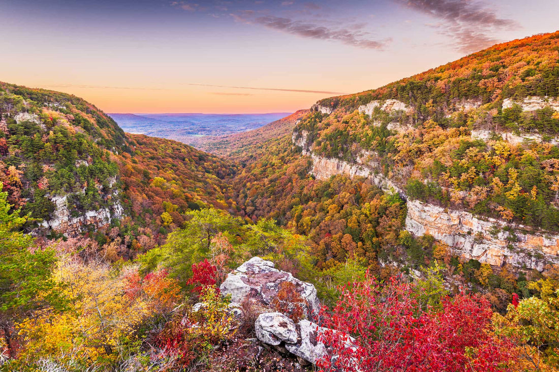 Top or Best Talent Management Agencies and Companies in Georgia