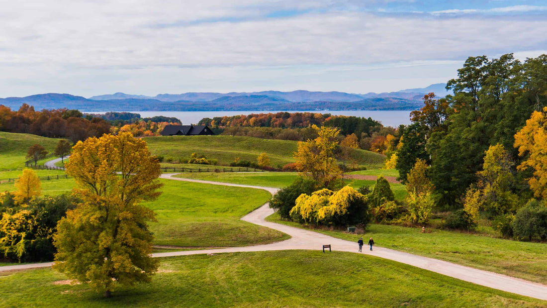 Top or Best LinkedIn Management Agencies and Companies in Burlington, Vermont