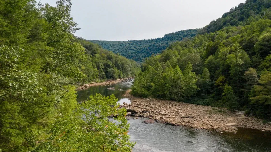 Top or Best AR Filters and Lenses Agencies and Companies in Morgantown, West Virginia