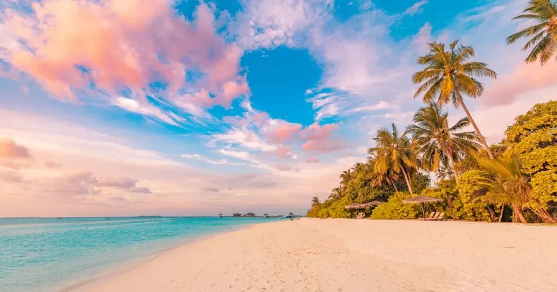 Top Website Design Agencies in the Bahamas