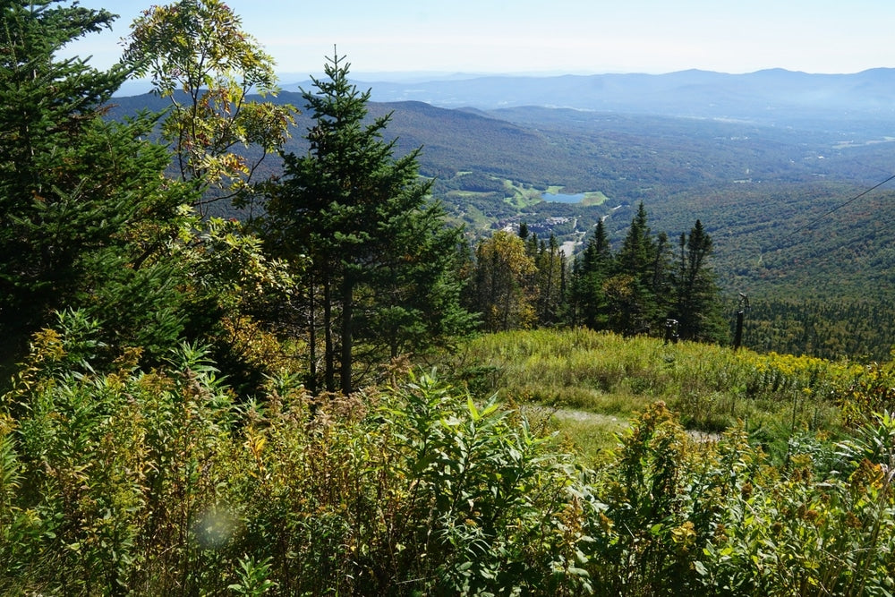 Top or Best Photo Editing Agencies and Companies in Brattleboro, Vermont