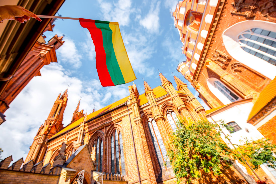Top or Best Influencer Brand Partnership Agencies and Companies in Lithuania