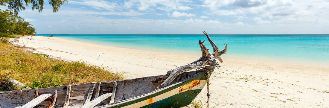 Top or Best Athlete Management Agencies and Companies in Mozambique