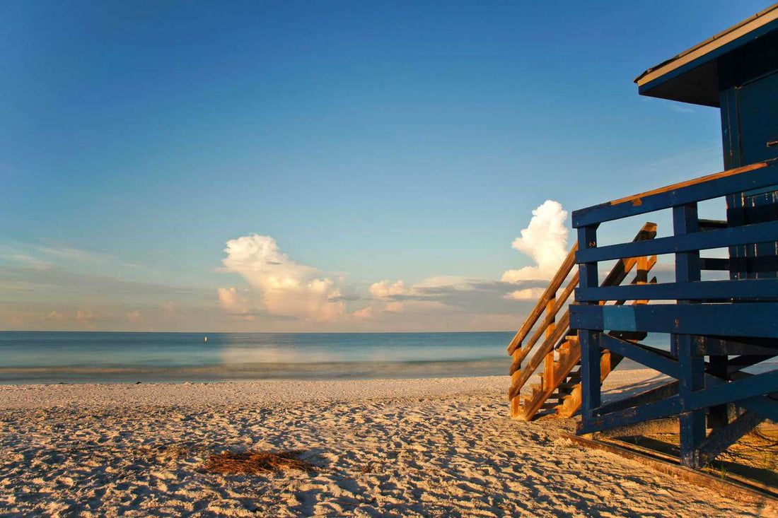 Top or Best Storyboards Design Agencies and Companies in Tampa, Florida