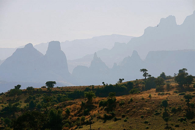 Top or Best Talent Management Agencies and Companies in Ethiopia