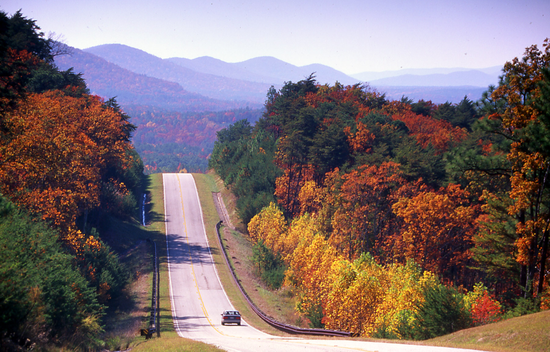 Top or Best Banner Advertising Agencies and Companies in Spanish Fort, Alabama