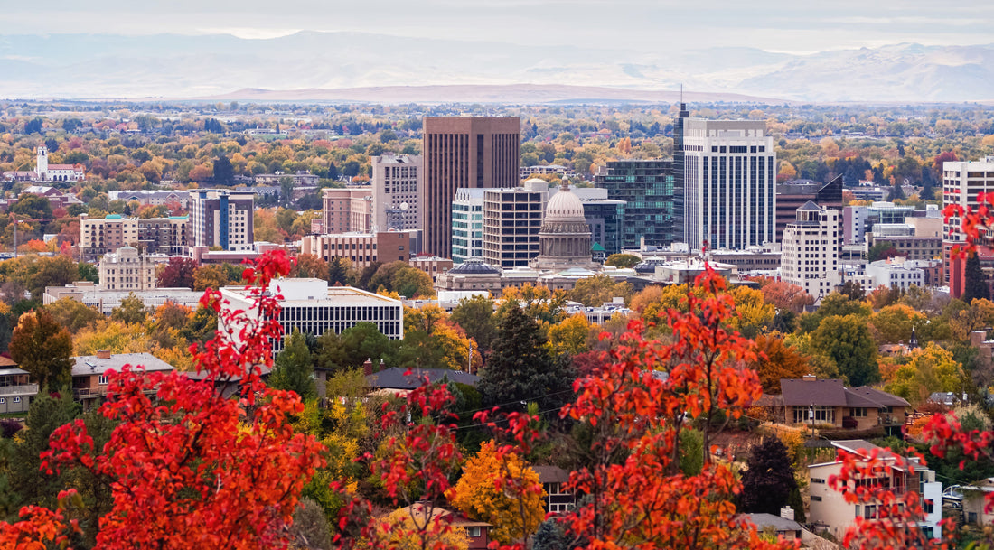 Top or Best Influencer Brand Partnership Agencies and Companies in Boise, ID